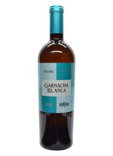 Baltas vynas Coto de Hayas Garnacha Blanca