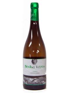 Baltas vynas Regina Viarum Godello