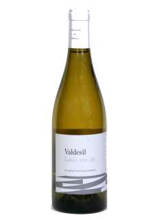 Baltas vynas Valdesil