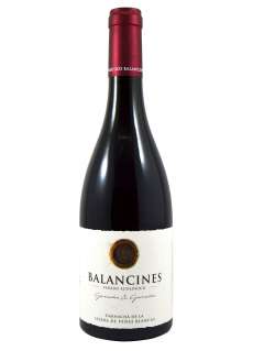 Raudonas vynas Balancines Garnacha & Garnacha