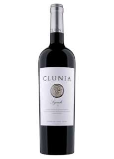 Raudonas vynas Clunia Syrah