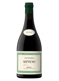 Raudonas vynas Cuentaviñas Septeno