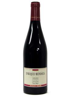 Raudonas vynas Enrique Mendoza Pinot Noir