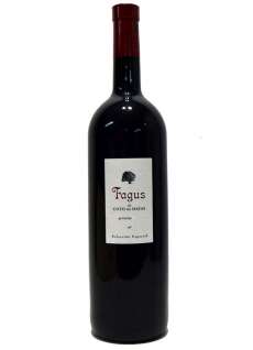 Raudonas vynas Fagus Magnum
