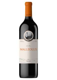 Raudonas vynas Malleolus