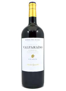 Raudonas vynas Marqués de Valparaíso  (Magnum)
