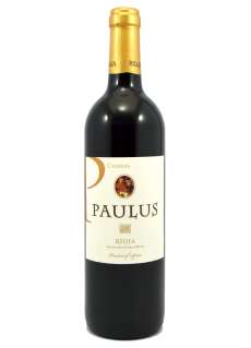Raudonas vynas Paulus