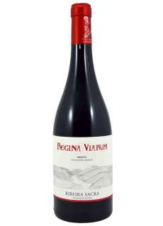 Raudonas vynas Regina Viarum Mencía 2024 - 3 Uds.