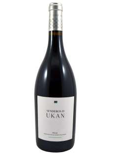 Raudonas vynas Senderos de Ukan
