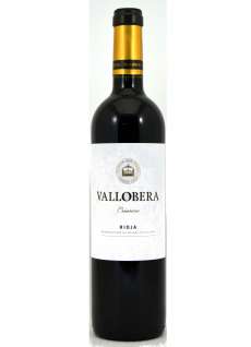 Raudonas vynas Vallobera